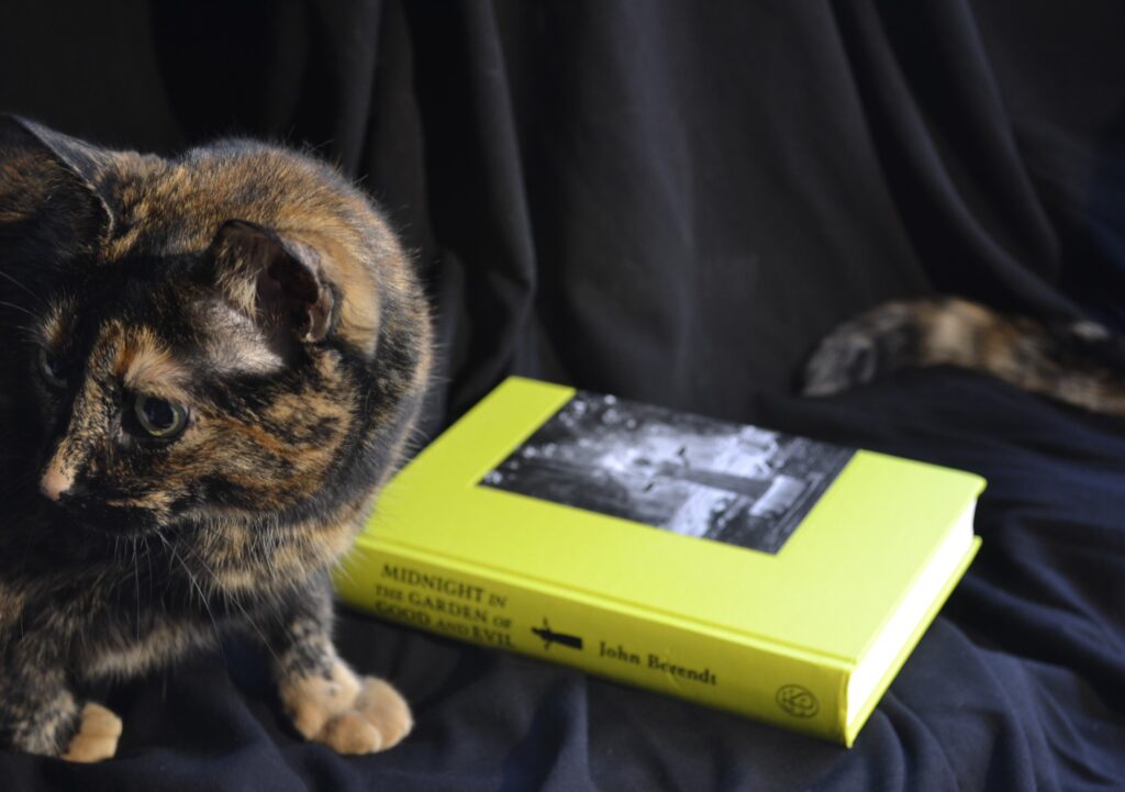 Two cats sit beside an electric green book. The book is Midnight in the Garden of Good and Evil by John Berendt.