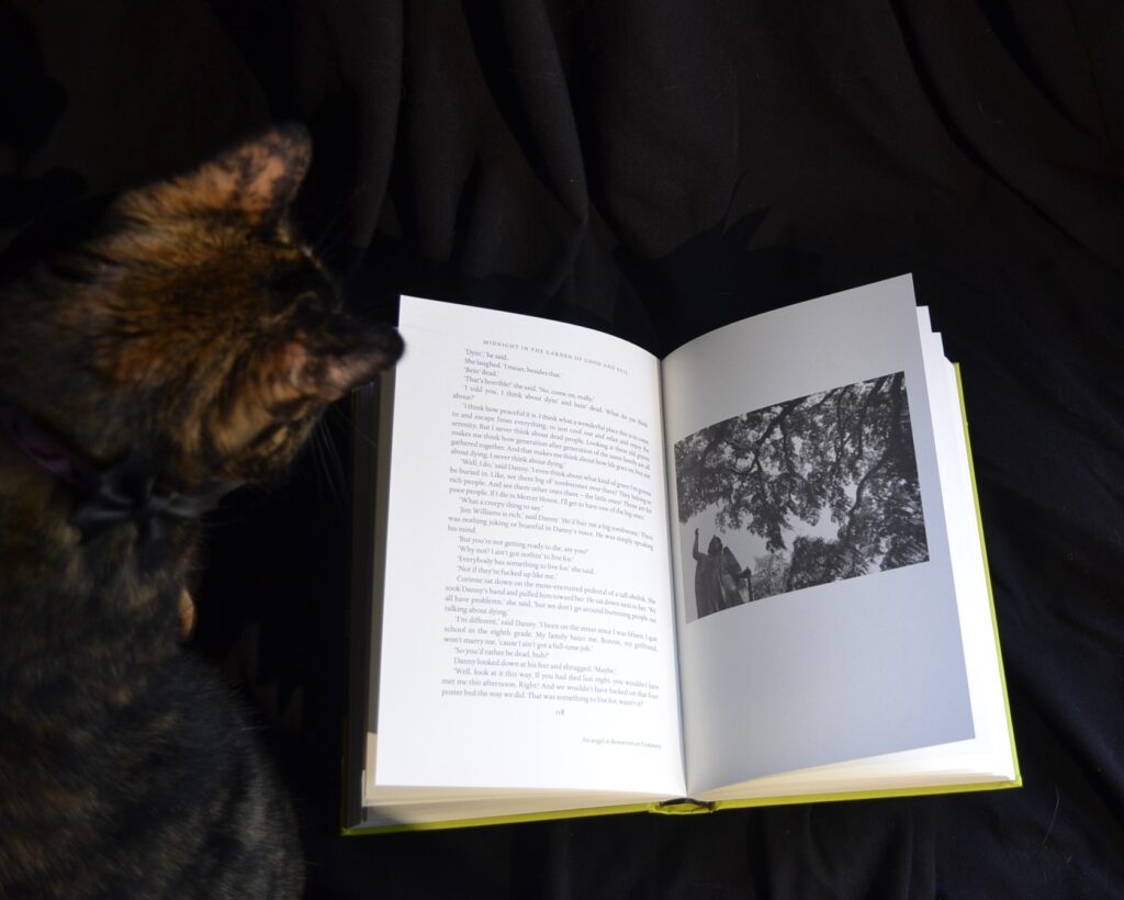 A tortoiseshell cat looks into an open book. The book has a black and white photo of a cemetery on one page.