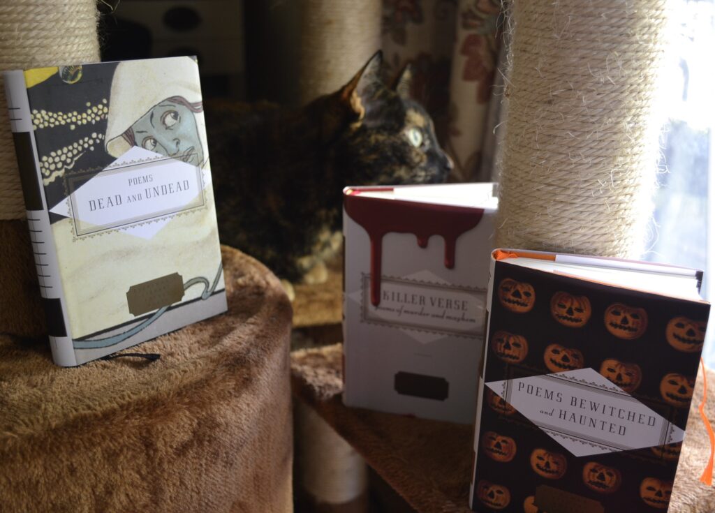 Behind three volumes of spooky poetry, arranged on the levels of a cat tree, a tortoiseshell cat looks out a window.