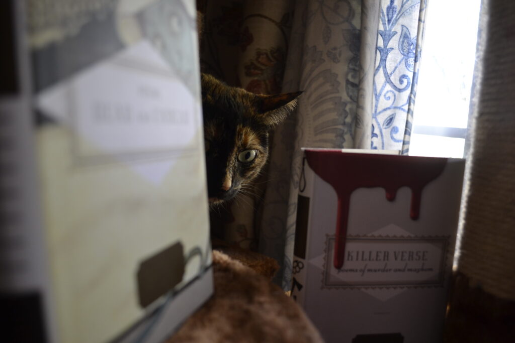 A tortoiseshell cat with wide eyes and ears back peeks between two volumes of spooky poetry.