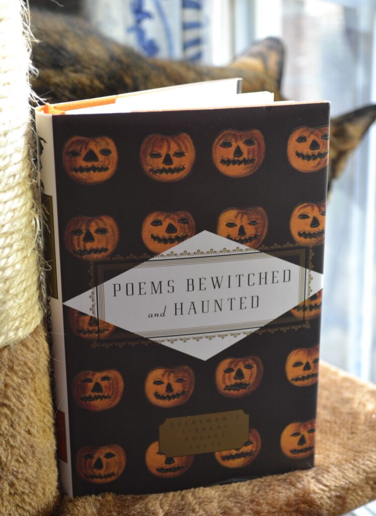 Poems Bewitched and Haunted is a book of spooky poems. The cover features a repeating pattern of jack-o-lanterns on a black background.