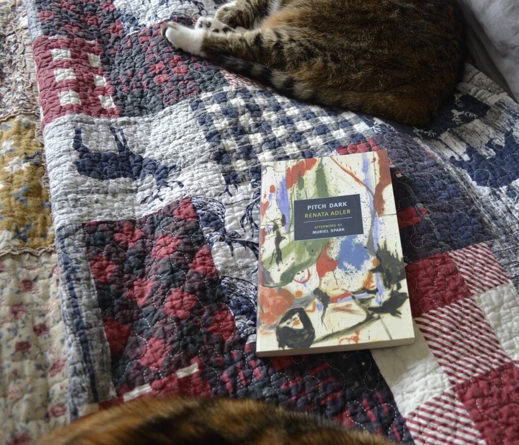 Between two cats sits a copy of Renata Adler's Pitch Dark.