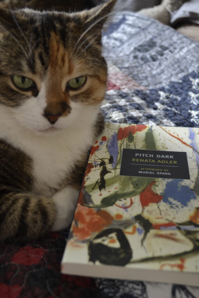 A calico tabby grumpily sits beside a book. The book is Pitch Dark by Renata Adler.