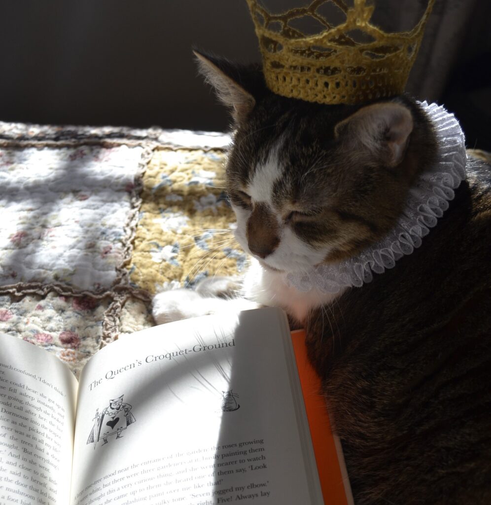 A tabby cat wearing a crown and ruff looks at a chapter titled 'The Queen's Croquet Ground'.