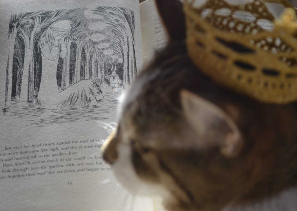 An illustration shows an elongated Alice, her face in her hands, sitting in a pool of water. The White Rabbits is coming to her through a row of trees.