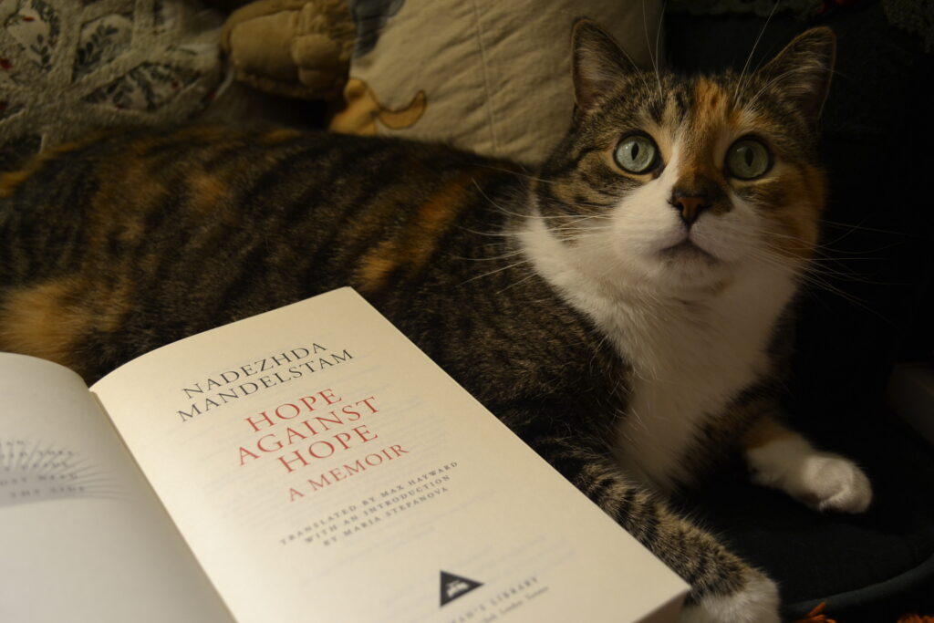 A wide-eyed calico tabby sits beside a book. The book is open to the cover page, which reads: Nadezhda Mandelstam, Hope Against Hope, a Memoir, translated by Max Hayward with an introduction by Maria Stepanova.