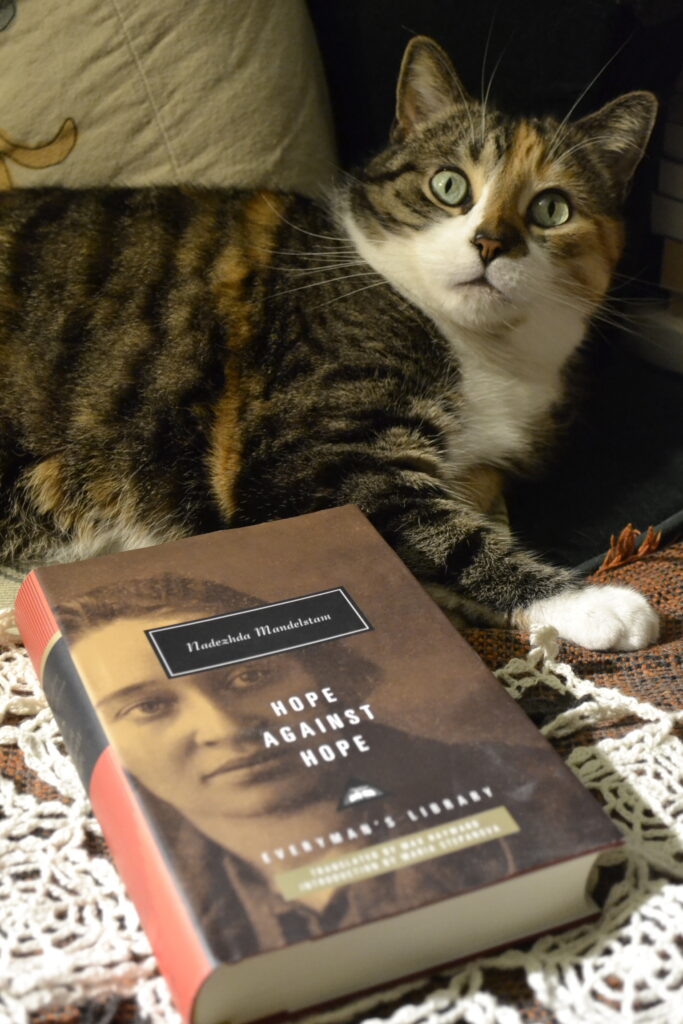 A calico tabby looks at its own nose. Beside it is a Hope Against Hope on a doily.