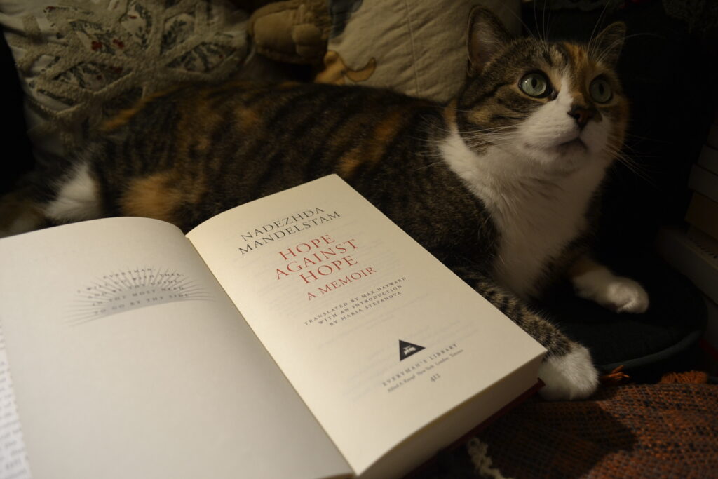 A calico tabby looks up at the sky. Beside her is an open book: Nadezhda Mandelstam's Hope Against Hope: A Memoir.