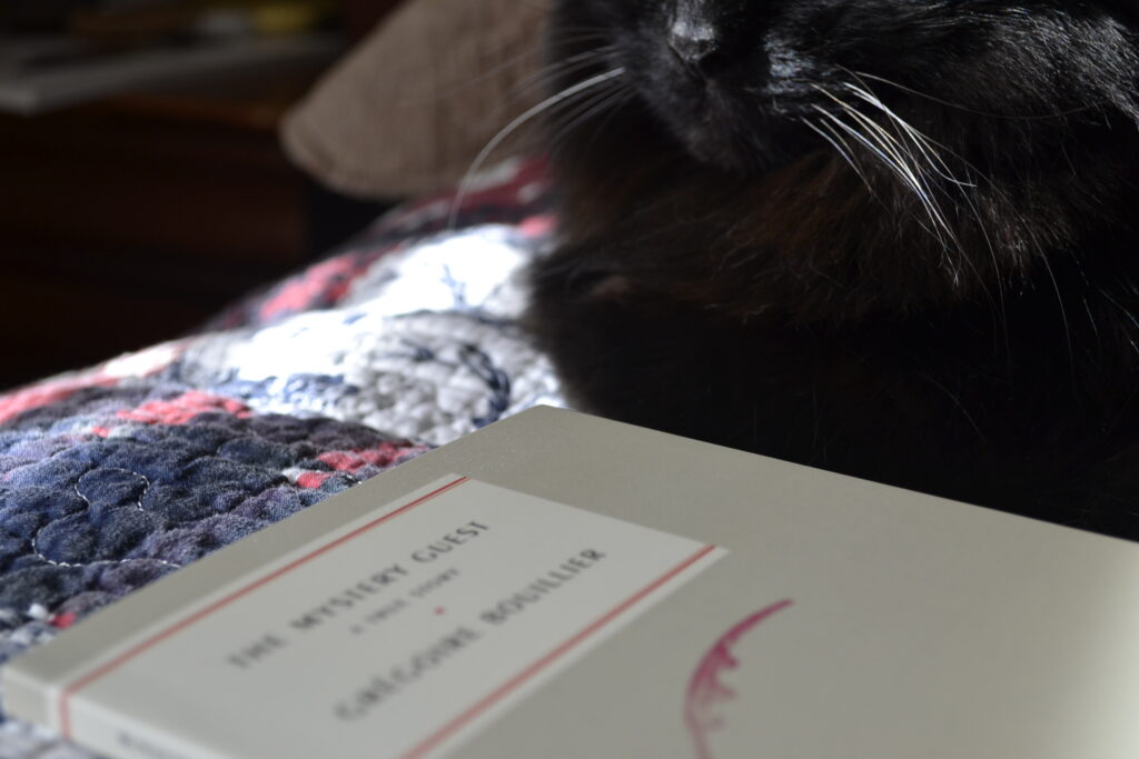 A black cat sits in the sunshine beside a book.