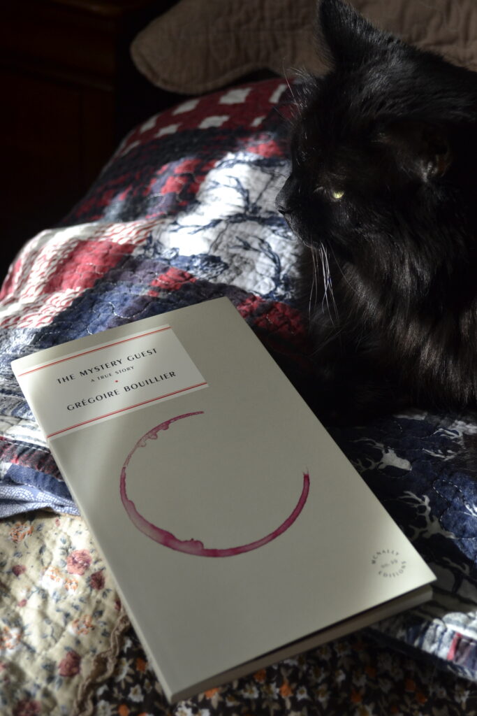 The Mystery Guest is a thin book, with a plan off-white cover featuring a red wine stain shaped like the bottom of a glass. A black cat sits beside it.