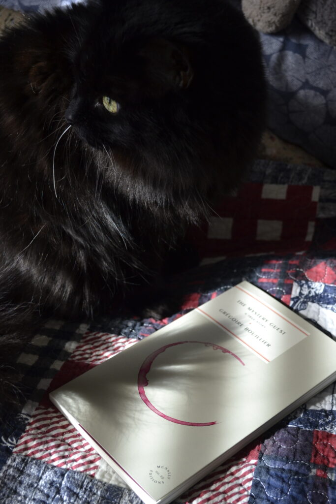 A black fluffy cat lurks beside a book with a red wine stain pictured on the cover.