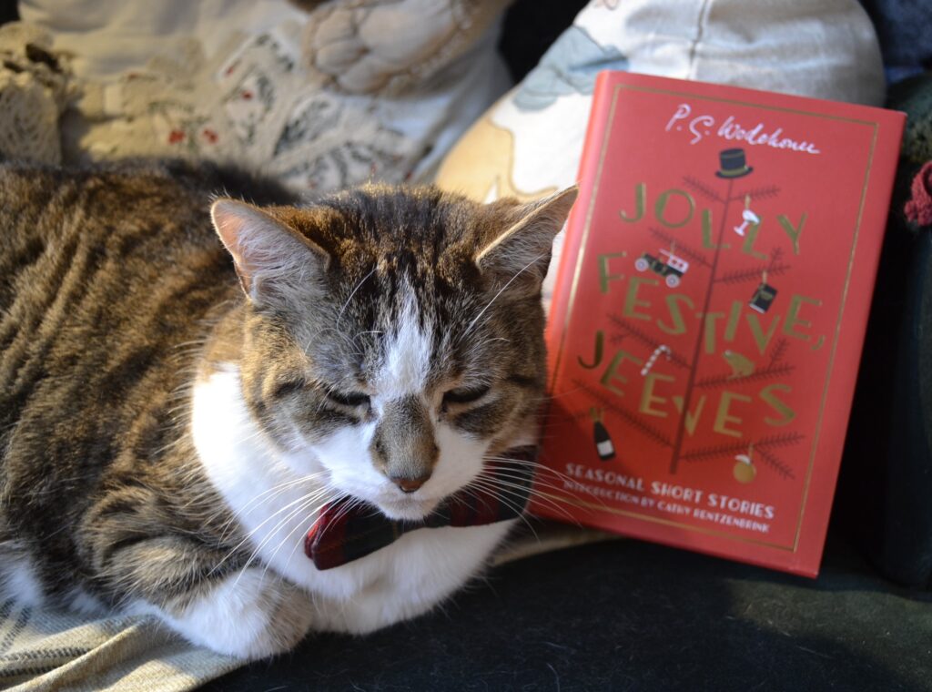 A tabby cat wearing a red and green tartan bow sits on a green chair beside a red book with a gold tree on it.