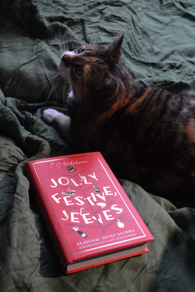 A calico tabby looks up at the sky beside a red book, Jolly Festive, Jeeves.