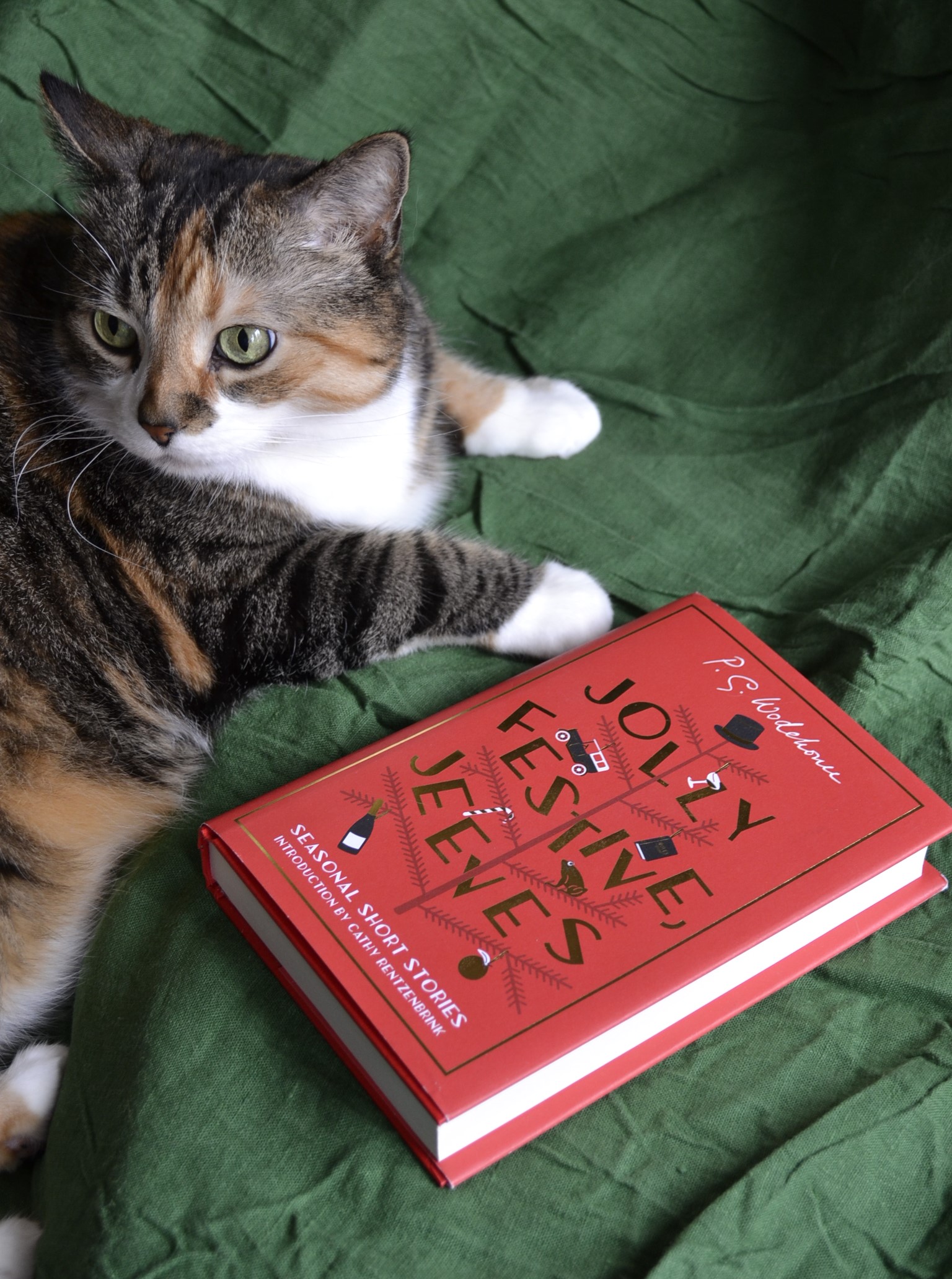 A calico tabby sits beside a copy of Jolly Festive, Jeeves by P G Wodehouse.