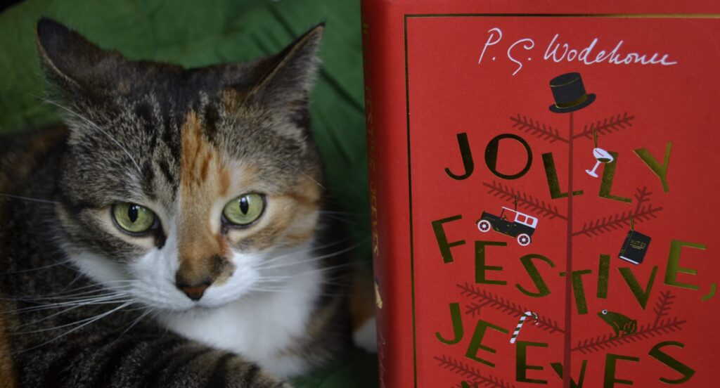 A calico tabby on a green background sits beside a bright red book.