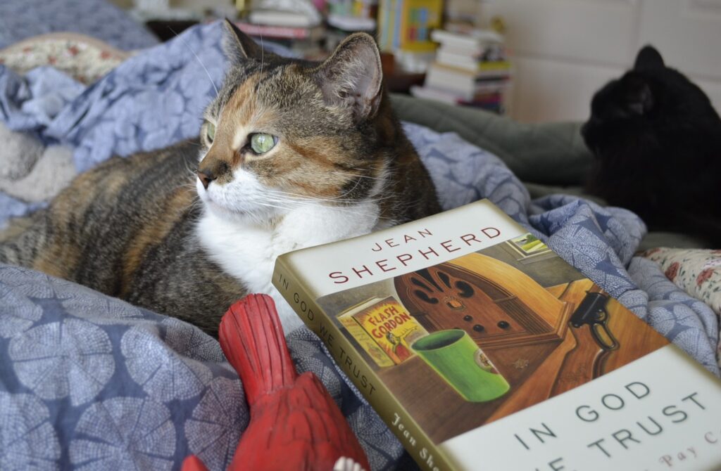 A calico tabby and a black cat lie on a bed with Jean Shepherd's In God We Trust.