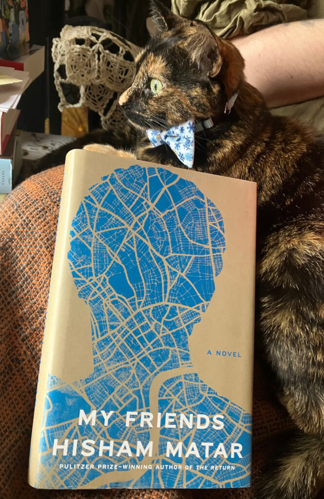 A tortie in a blue snowflake bowtie sits behind My friends by Hisham Matar.