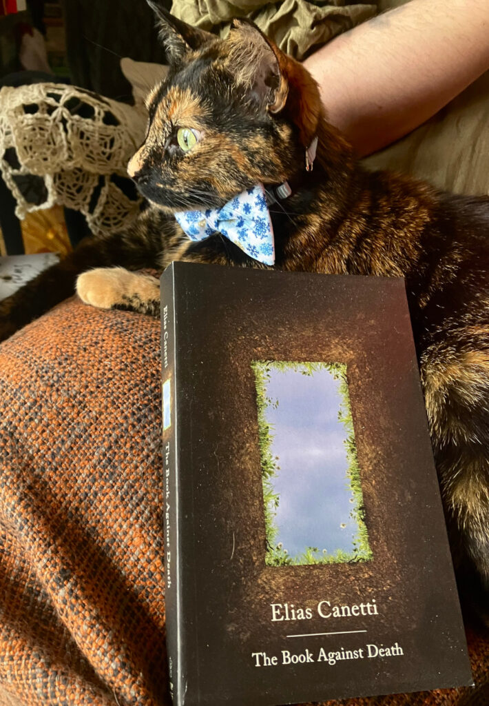 A tortie in a blue snowflake bowtie sits behind Elias Canetti's The Book Against Death.