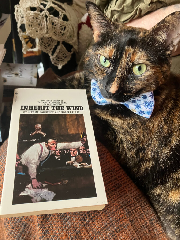 A tortie in a blue snowflake bowtie sits beside Inherit the Wind.