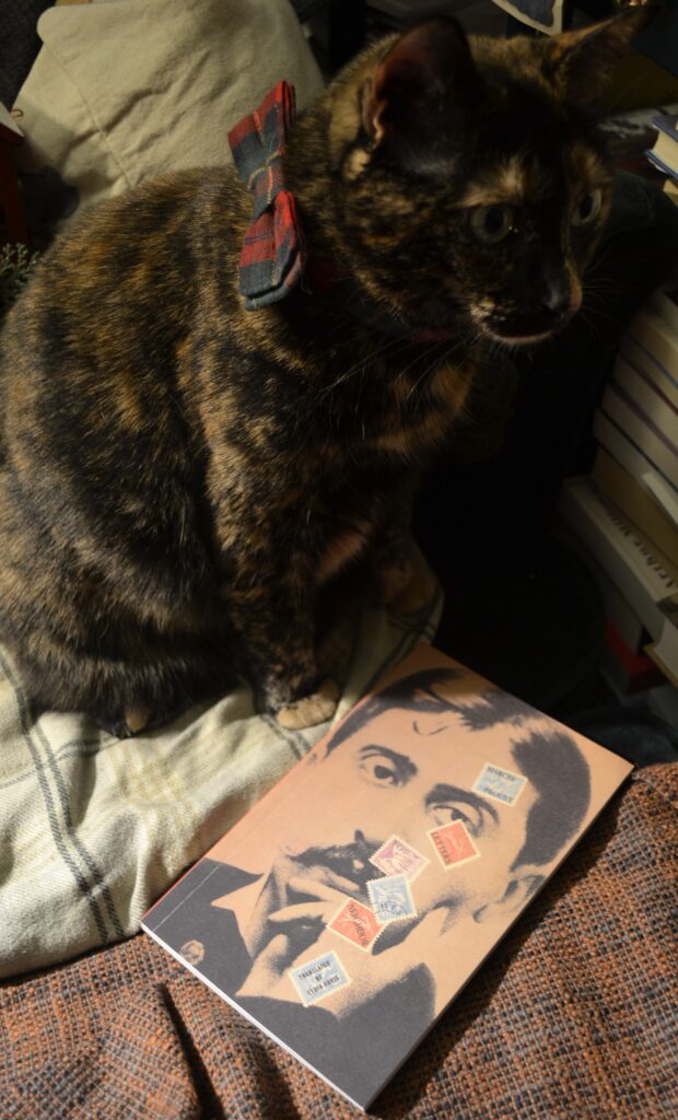 A tortie cat in a red-and-green tartan bow, sits primly beside a book with Marcel Proust's picture on the cover.