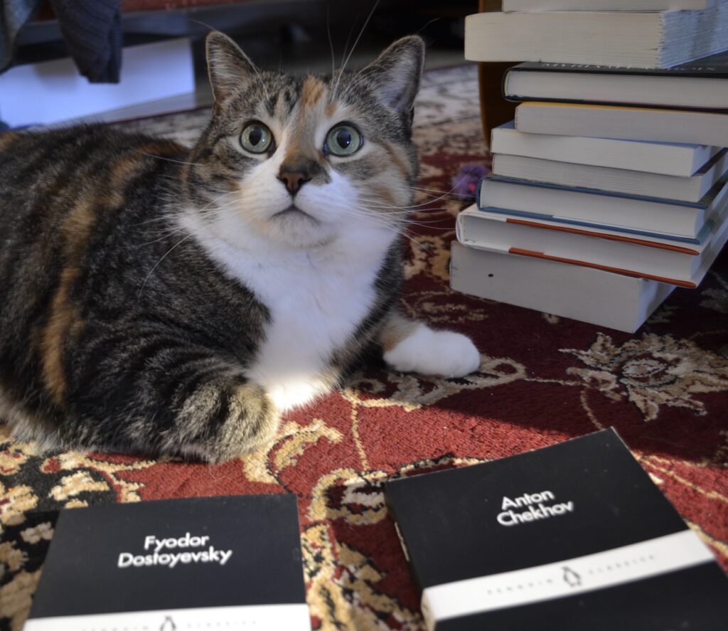 A calico tabby sits beside two nearly identical black books with the author and title on the cover in plain white text.