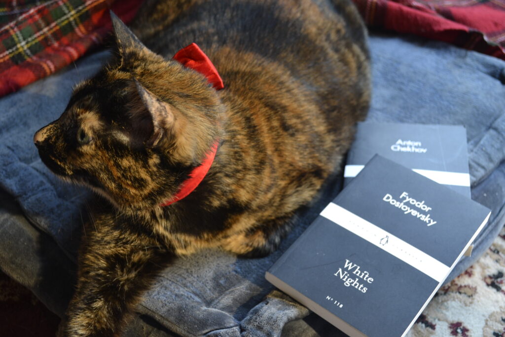 Penguin Little Black Classic Book number 118 is Fyodor Dostoyevsky's White Nights. A tortie with a bow sits beside the book.