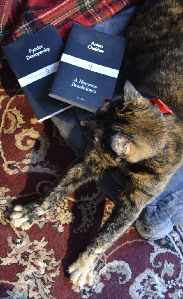 A tortoiseshell cat wearing a red bow sticks both paws straight out in front of her. Two books are beside her. One is Anton Chekhov's A Nervous Breakdown.