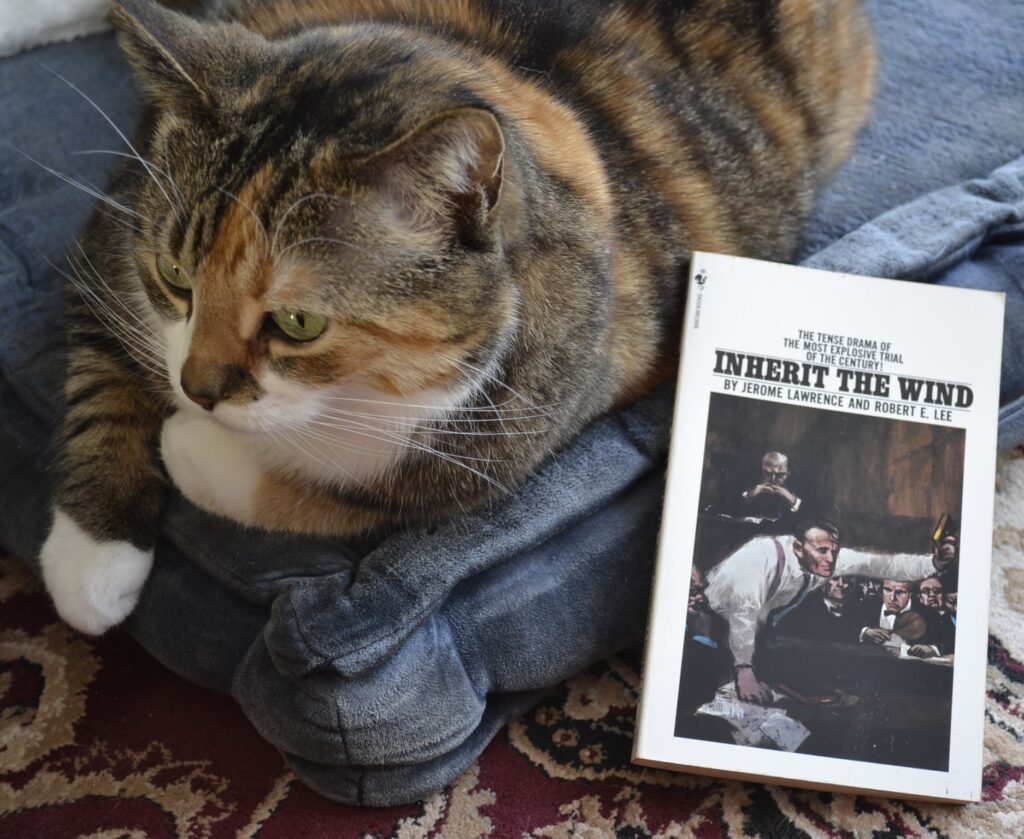 A calico cat sits with her paws folded. Beside her is a copy of Inherit the Wind, with a white cover and black text.