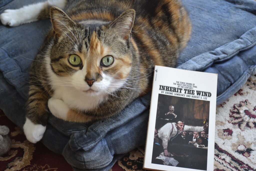 On the cover of Inherit the Wind, a lawyer holds up a bible for the jury to see. Beside that book, a calico cat sits primly on a blue cushion.