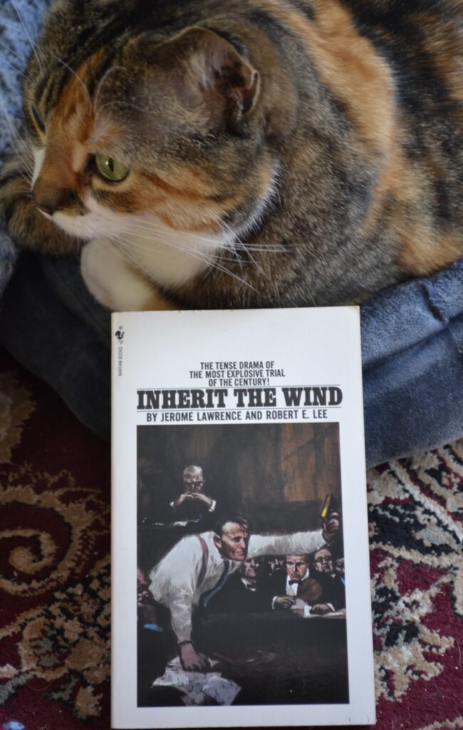 A calico tabby sits on a blue cushion beside a white book with black text on the cover.