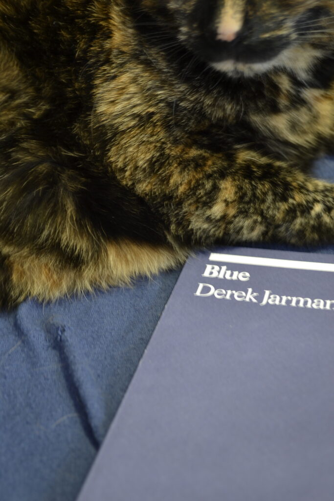 A tortoiseshell cat rests a limb on top of a blue book.