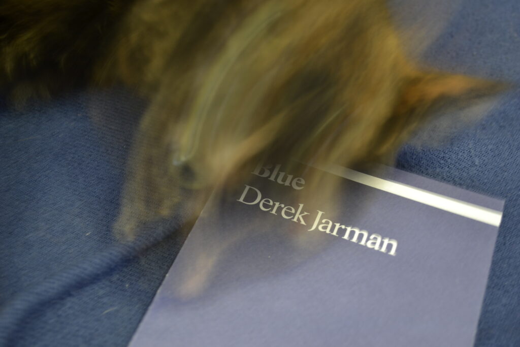 A blur of a cat ghosts over a blue book.