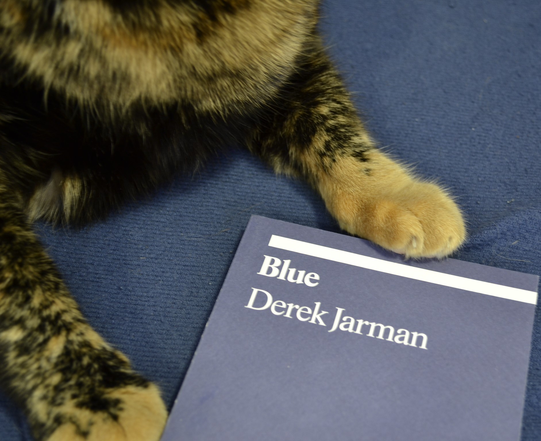 Blue by Derek Jarman features a plain blue cover with white text.