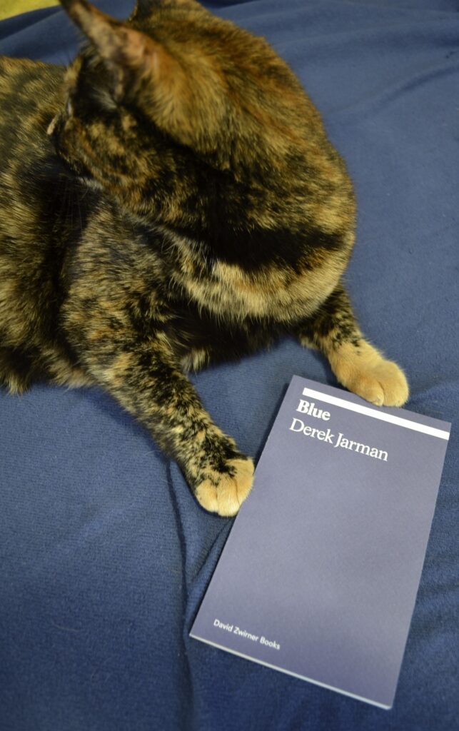 A tortie sits with a paw on either side of Derek Jarman's Blue.