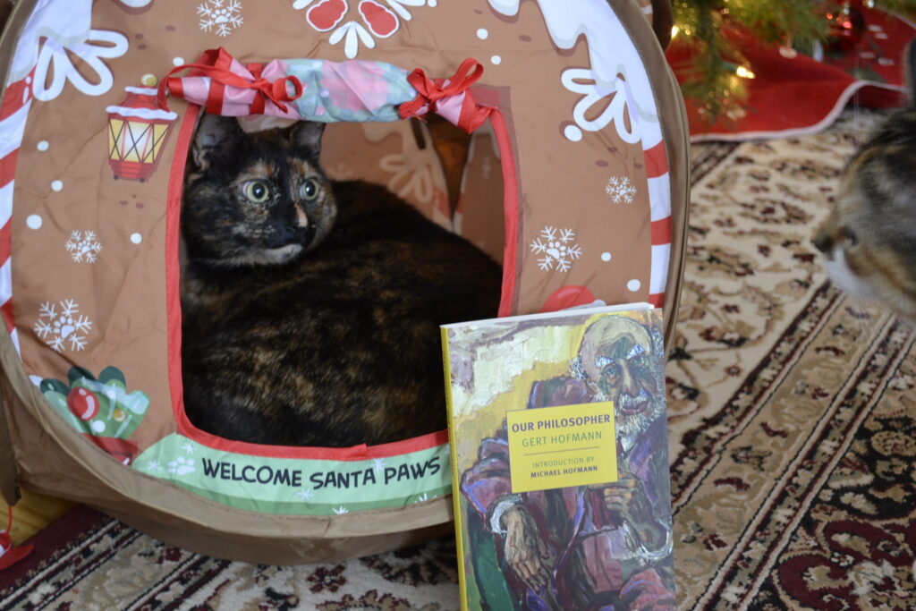 A cat is contentedly curled in a pop-up gingerbread house. A book leans against the entrance.