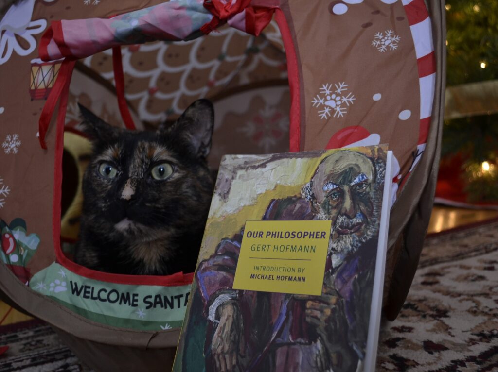 A tortoiseshell cat sits in a pop-up gingerbread house with a book leaning beside her.