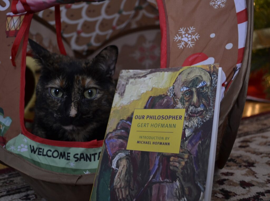 A tortoiseshell cat leans inside a pop-up toy gingerbread house that says 'Welcome Santa Paws' beneath the door.