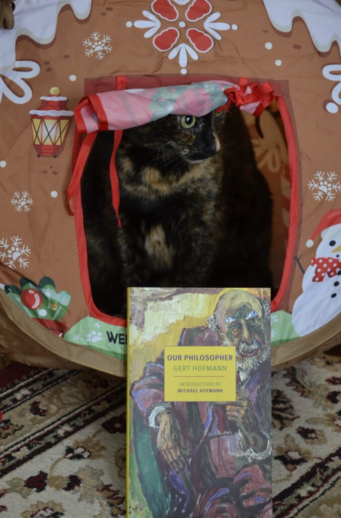 tortoiseshell cat peeks out of the doorway of a pop-up gingerbread house. The book Our Philosopher leans against the house.