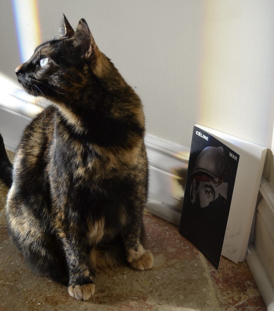 A tortie stands in a splash of reflected rainbows beside a black book called War.