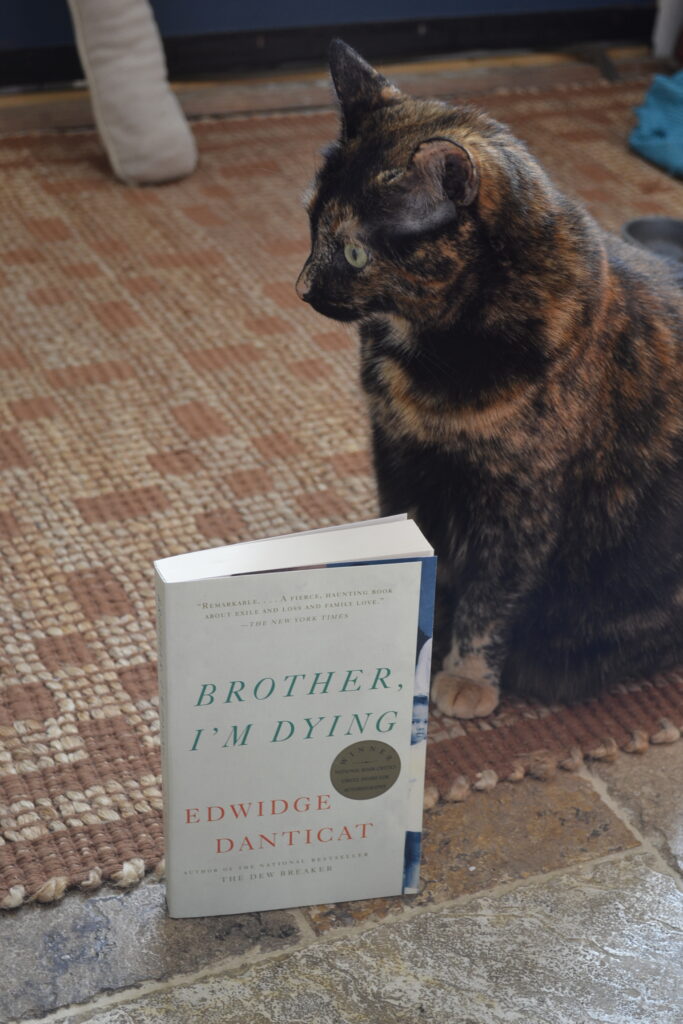 A tortoiseshell cat sits beside a white book. The book is Brother, I'm Dying by Edwidge Danticat.