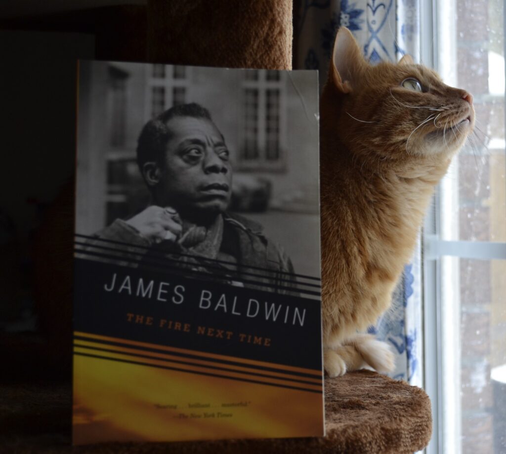 A book by James Baldwin sits near a window. Behind it, an orange tabby looks out a window and up into the light.