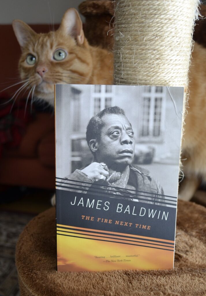 The Fire Next Time by James Baldwin sits on a cat tree beside a curious orange cat. The photo of the author on the cover shows a weary, pensive Black man wearing a scarf and heavy coat.