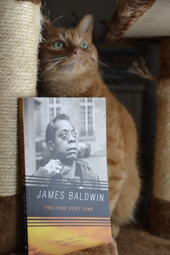 James Baldwin's The Fire Next Time features a grayscale cover with a photo of the author, a diagonal black streak for the author name and title, and a diagonal orange streak at the bottom.