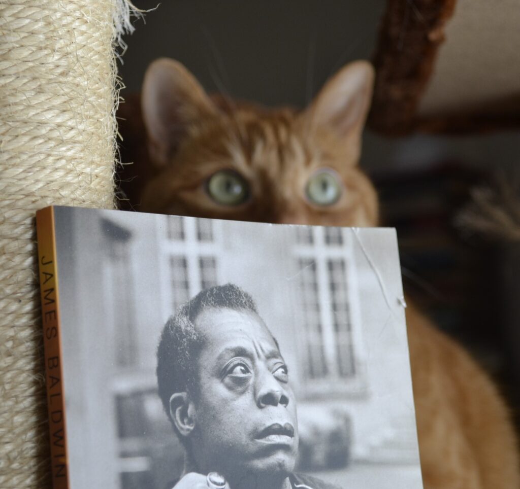 An orange tabby cat looks over the top cover of the book. On the cover is a black-and-white photo of James Baldwin looking pensively upwards.