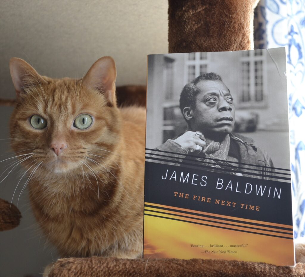 An orange tabby cat with green eyes looks out curiously from behind a book. The book is The Fire Next Time by James Baldwin and has a grayscale cover with an orange streak at the bottom.