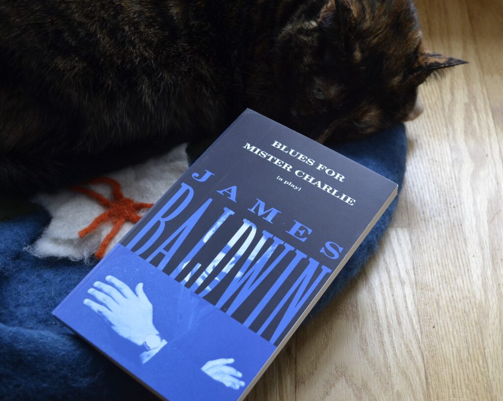 A tortie looks grumpily at a blue book while curled on a blue cat bed. The book is Blues for Mister Charlie by James Baldwin.