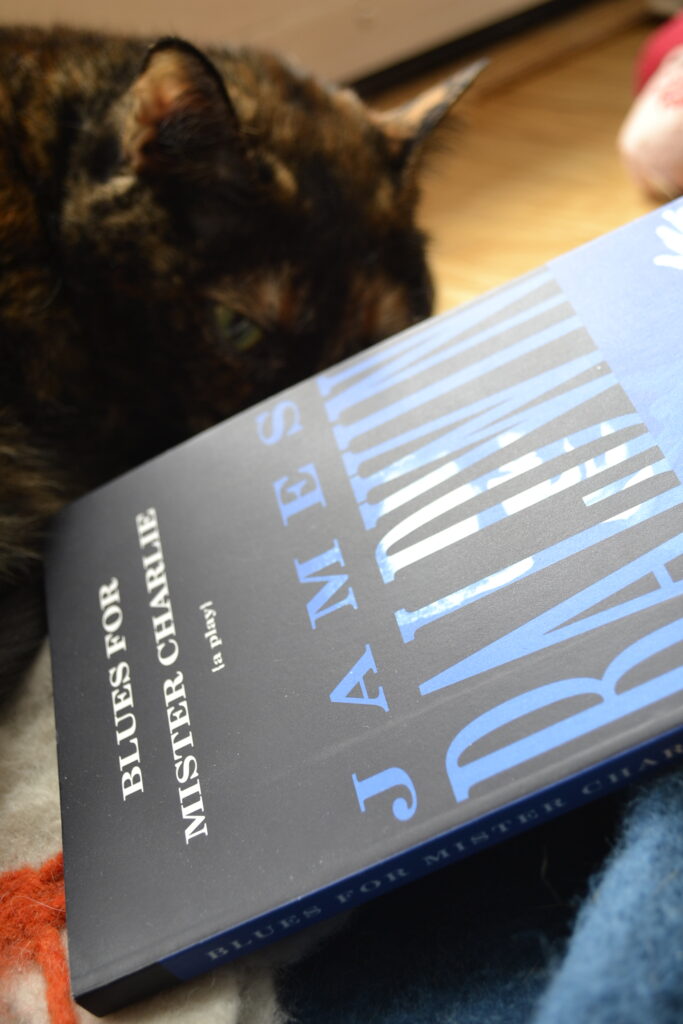 A tortie peers out from behind an upside-down copy of Blues for Mister Charlie.