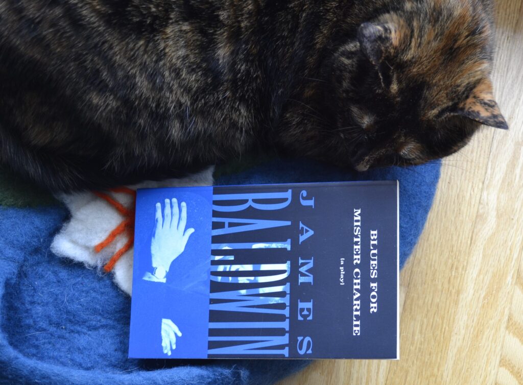 A tortie curls around a blue book, Blues for Mister Charlie.