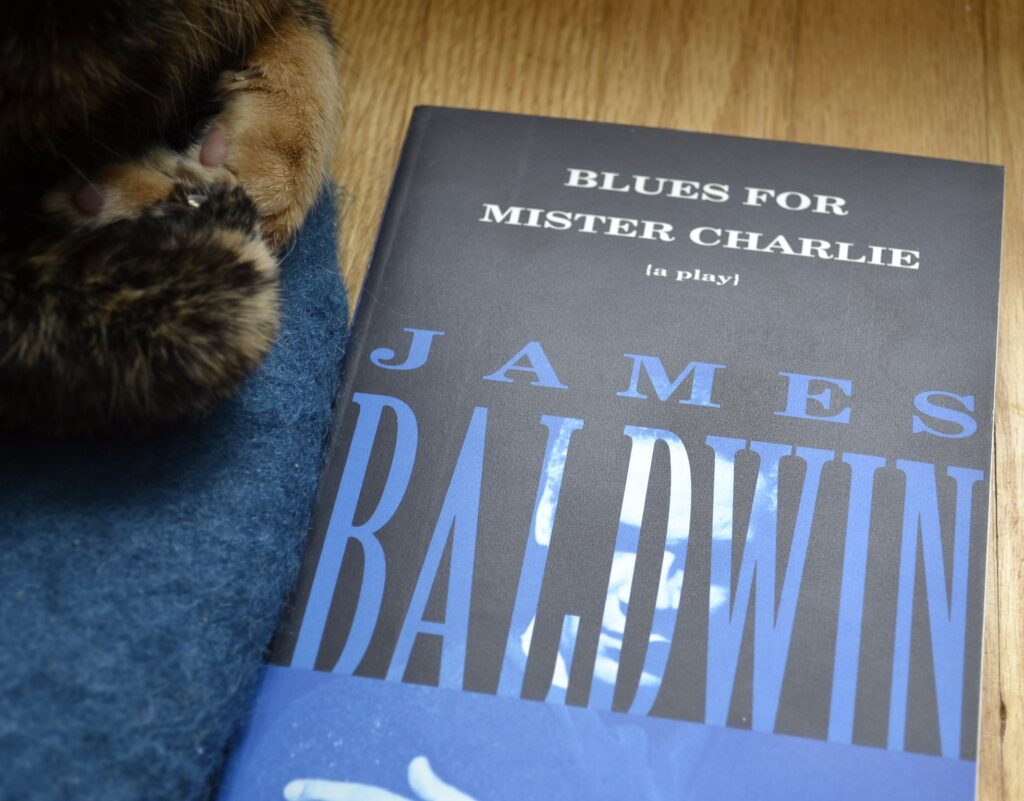 James Baldwin's play Blues for Mister Charlie features a blue cover with an obscured picture of a man crossing his arms.