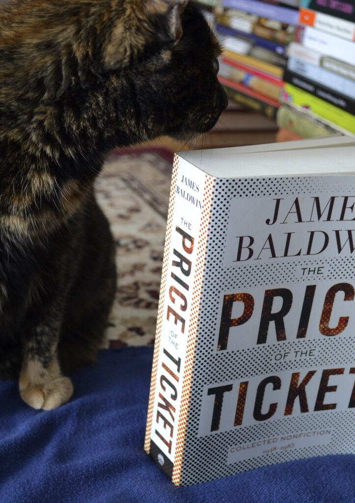 A tortoiseshell cat turns to look over the corner of a white book that stands on a blue blanket.